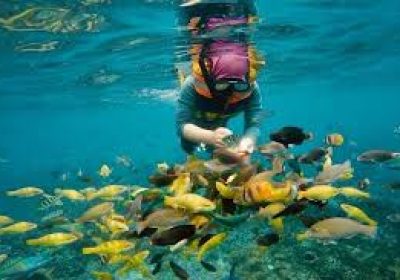 A Day in Lombok : Snorkeling in Paradise at Gili Nanggu