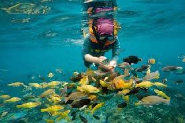 A Day in Lombok : Snorkeling in Paradise at Gili Nanggu