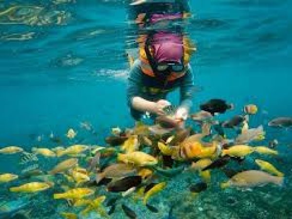 A Day in Lombok : Snorkeling in Paradise at Gili Nanggu