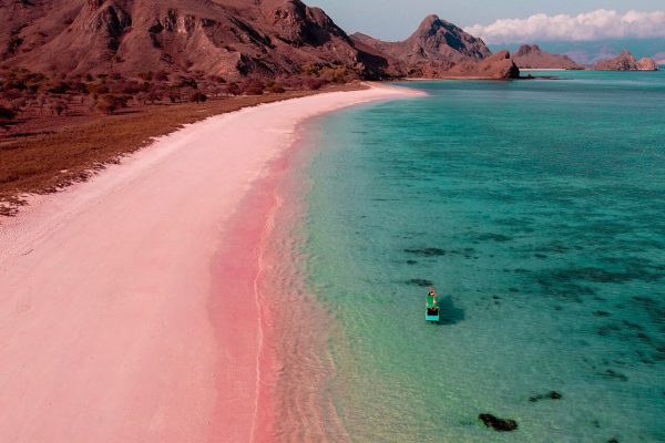 A Day in Lombok : Snorkeling Trip To Pink Beach & 4 islan Hopping